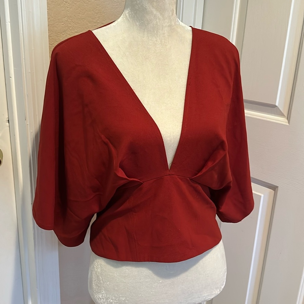 ASOS Deep Red Plunge V-Neck Blouse